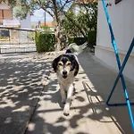 דירה And Ruza *