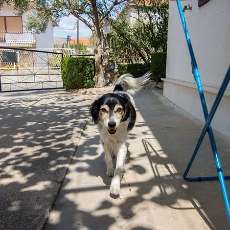 Apartamento And Ruza