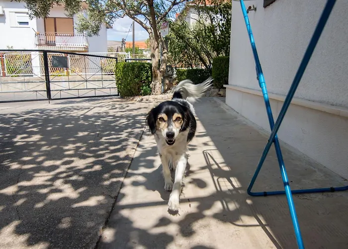 Apartment And Ruza *